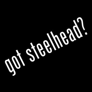 Got Steelhead Decal